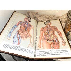 1958 Trans-Visions Anatomical Chromographs Anatomy Transparencies by Parke Davis